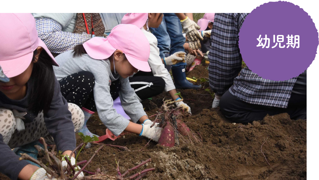保育園児対象のさつまいもや大根の収穫体験